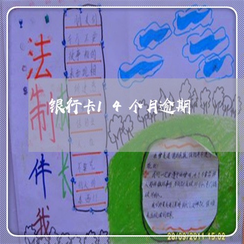 银行卡14个月逾期