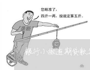 银行小微逾期贷款案例分析题