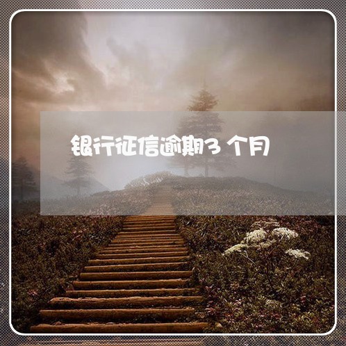 银行征信逾期3个月