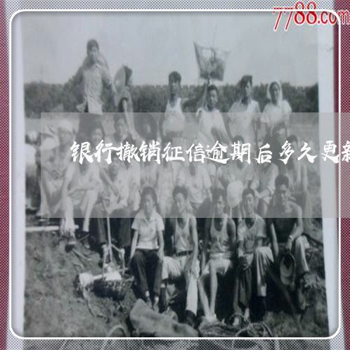 银行撤销征信逾期后多久更新 银行撤销征信逾期后多久更新