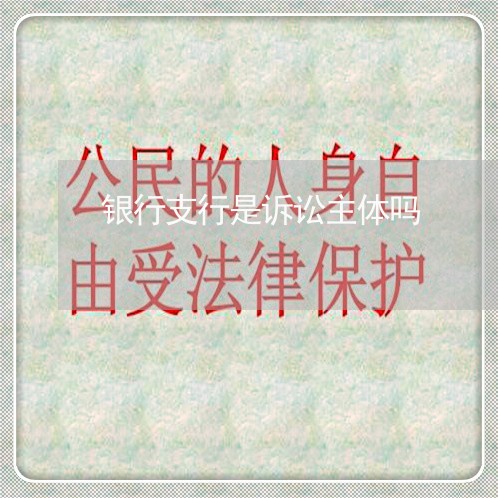 银行支行是诉讼主体吗 银行支行是诉讼主体吗