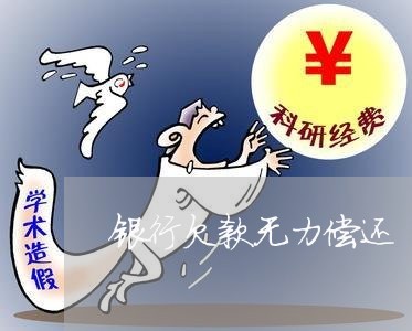 银行欠款无力偿还/2023021827039