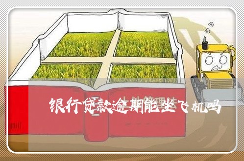 银行贷款逾期能坐飞机吗 银行贷款逾期能坐飞机吗