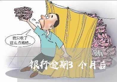 银行逾期3个月后
