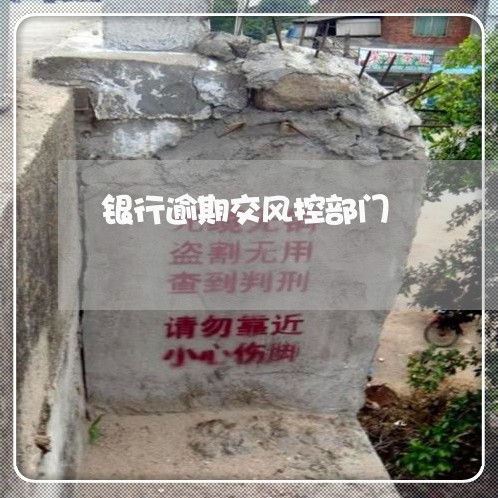 银行逾期交风控部门 银行逾期交风控部门