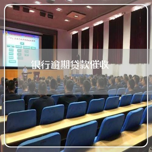 银行逾期贷款催收/2023030225158
