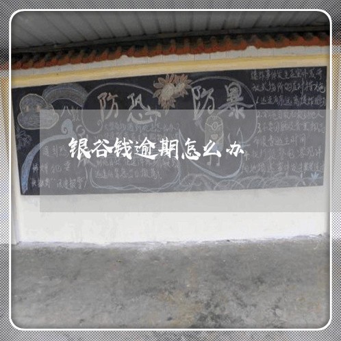 银谷钱逾期怎么办 银谷钱逾期怎么办