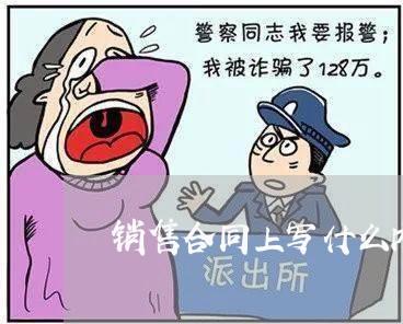 销售合同上写什么内容有效/2023041274695 销售合同上写什么内容有效/2023041274695