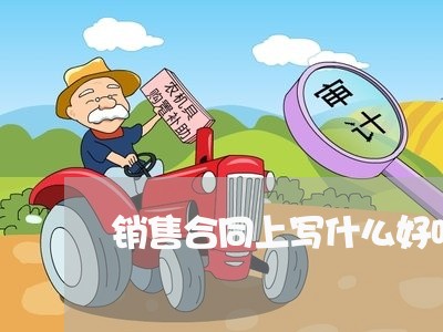 销售合同上写什么好听一点/2023060259380 销售合同上写什么好听一点/2023060259380