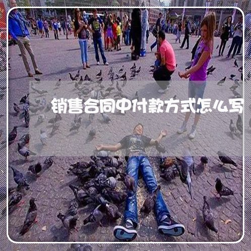 销售合同中付款方式怎么写/2023011648814 销售合同中付款方式怎么写/2023011648814