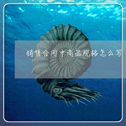 销售合同中商品规格怎么写/2023022626050