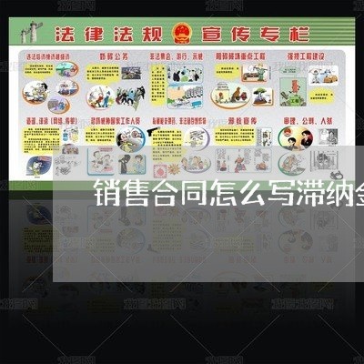 销售合同怎么写滞纳金/2023040316146 销售合同怎么写滞纳金/2023040316146