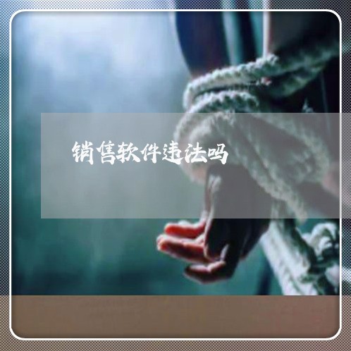 销售软件违法吗