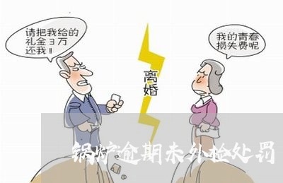 锅炉逾期未外检处罚 锅炉逾期未外检处罚