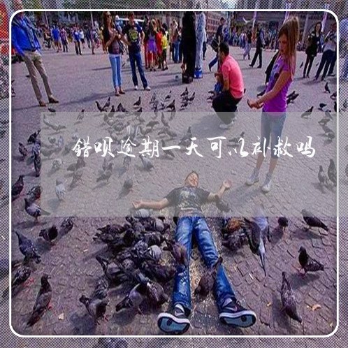 错呗逾期一天可以补救吗
