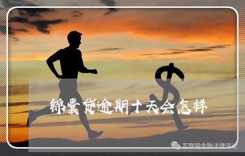锦囊贷逾期十天会怎样 锦囊贷逾期十天会怎样
