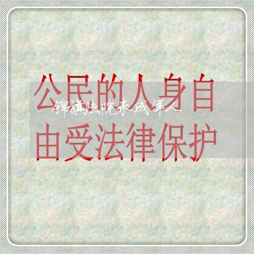 锦旗法院未成年人 锦旗法院未成年人