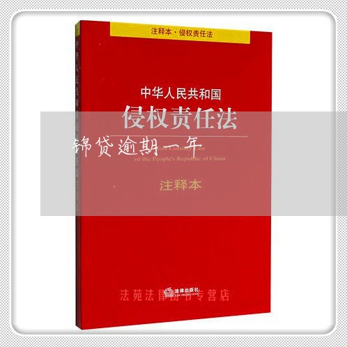 锦贷逾期一年 锦贷逾期一年