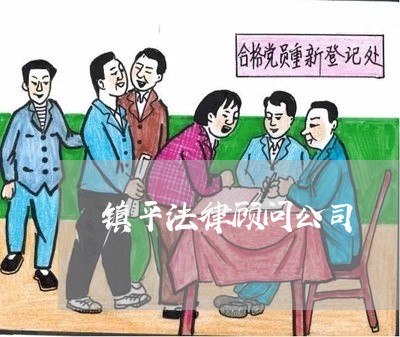 镇平法律顾问公司/2023061704947
