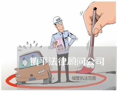 镇平法律顾问公司/2023061772403