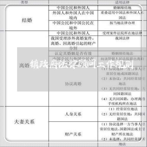 镇政府法律顾问工作规则/2023071460896