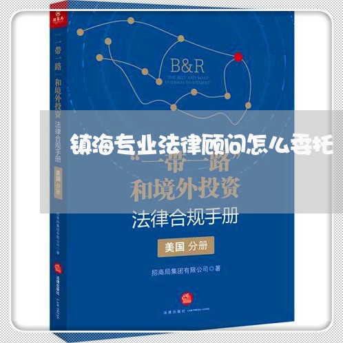 镇海专业法律顾问怎么委托/2023061923825