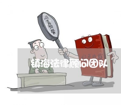镇海法律顾问团队