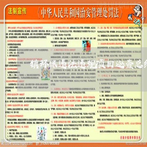 镇环保违法违规项目巡查总结