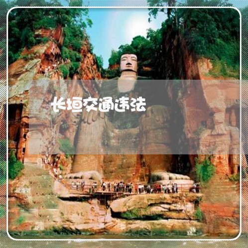 长垣交通违法
