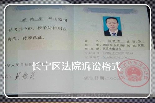 长宁区法院诉讼格式