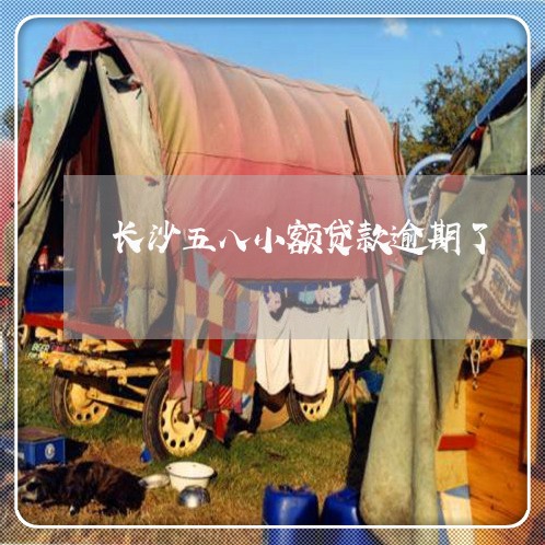 长沙五八小额贷款逾期了 长沙五八小额贷款逾期了