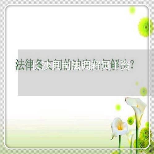 长沙县司法调解员工资