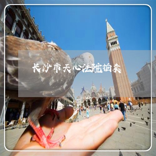 长沙市天心法院拍卖 长沙市天心法院拍卖