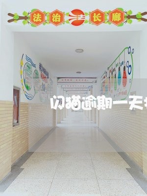 闪猫逾期一天打电话吗 闪猫逾期一天打电话吗