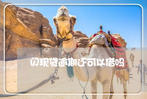 闪现贷逾期还可以借吗