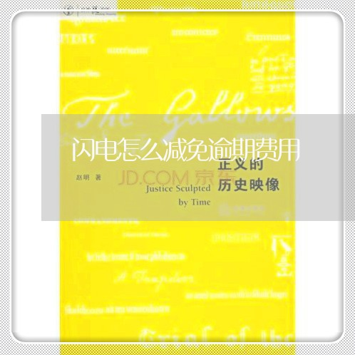 闪电怎么减免逾期费用 闪电怎么减免逾期费用