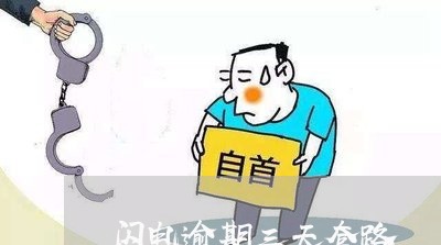 闪电逾期三天套路