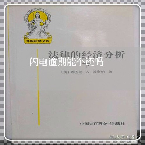 闪电逾期能不还吗