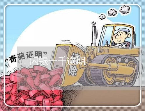 闪银一千逾期 闪银一千逾期