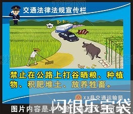 闪银乐宝袋显示逾期