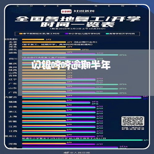闪银哼哼逾期半年 闪银哼哼逾期半年