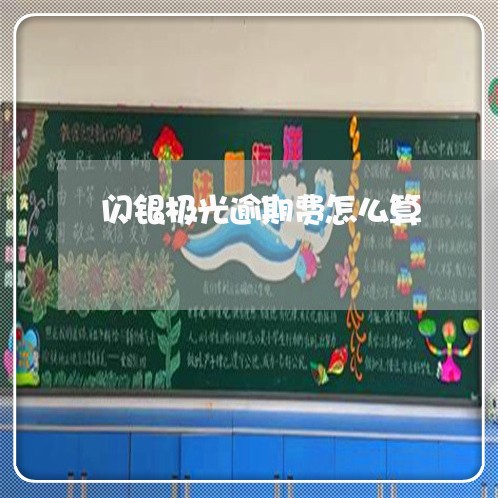 闪银极光逾期费怎么算 闪银极光逾期费怎么算
