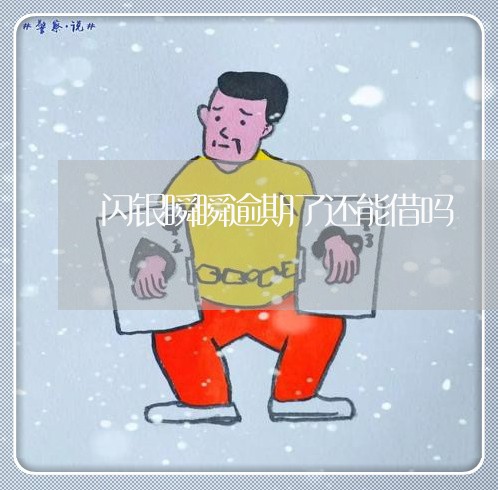 闪银瞬瞬逾期了还能借吗