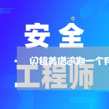 闪银美借逾期一个月 闪银美借逾期一个月