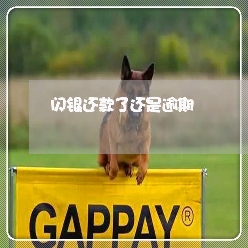 闪银还款了还是逾期 闪银还款了还是逾期