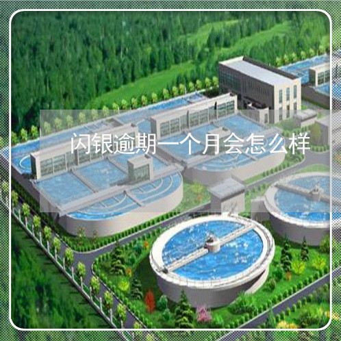 闪银逾期一个月会怎么样