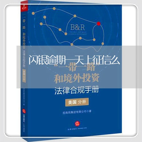 闪银逾期一天上征信么 闪银逾期一天上征信么