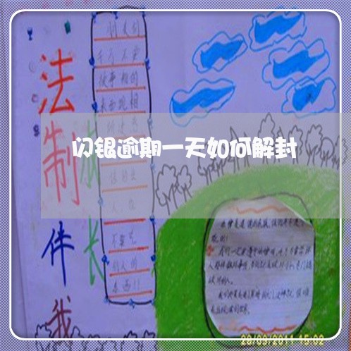 闪银逾期一天如何解封