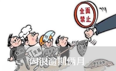 闪银逾期俩月