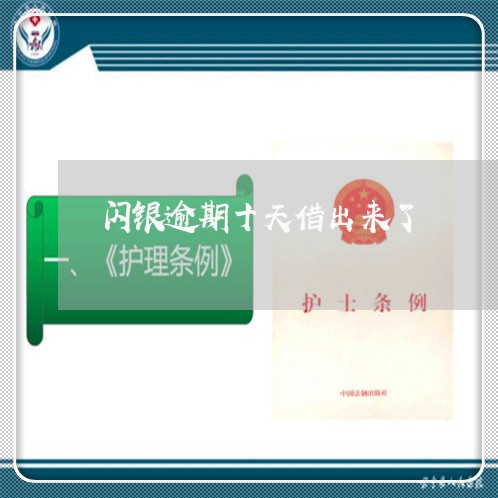 闪银逾期十天借出来了 闪银逾期十天借出来了
